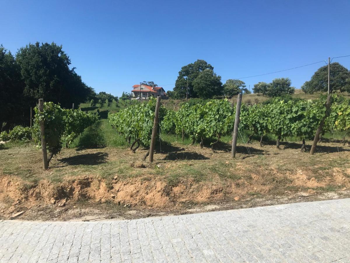 Willa Quinta Casa Do Retiro Penalva do Castelo Zewnętrze zdjęcie