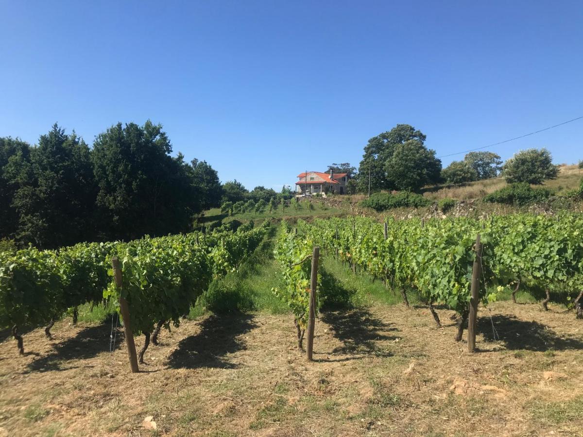 Willa Quinta Casa Do Retiro Penalva do Castelo Zewnętrze zdjęcie